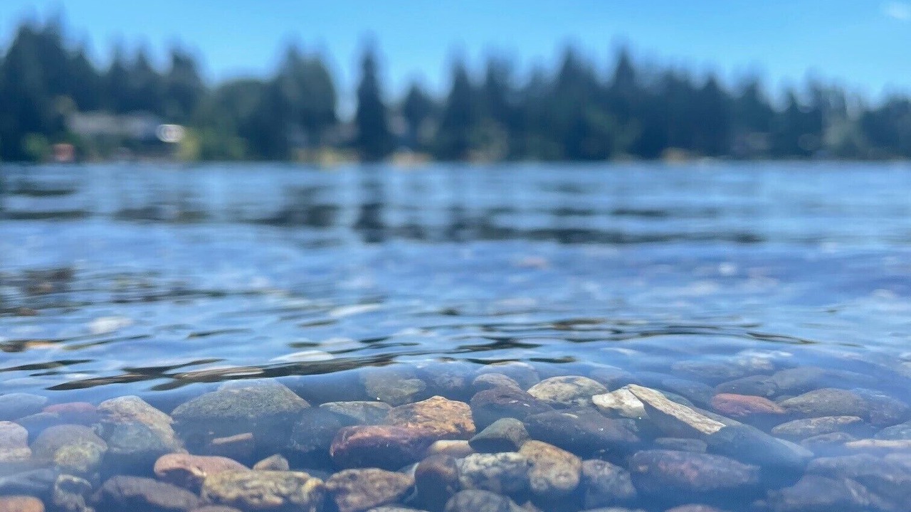 Photo of Outdoor in SeaTac