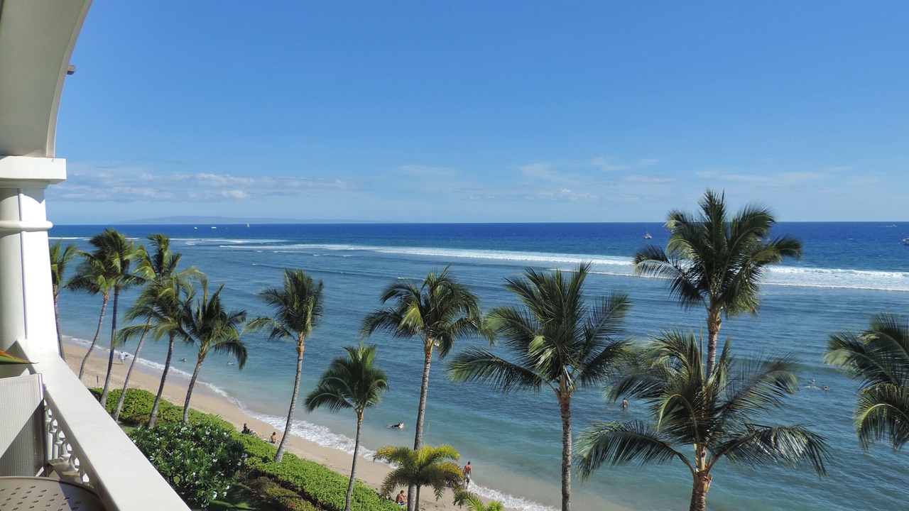 Photo of Others in Historic Lahaina Front Street