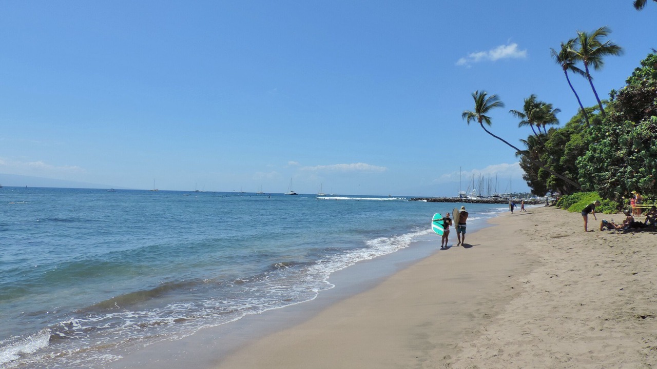 Photo of Others in Historic Lahaina Front Street