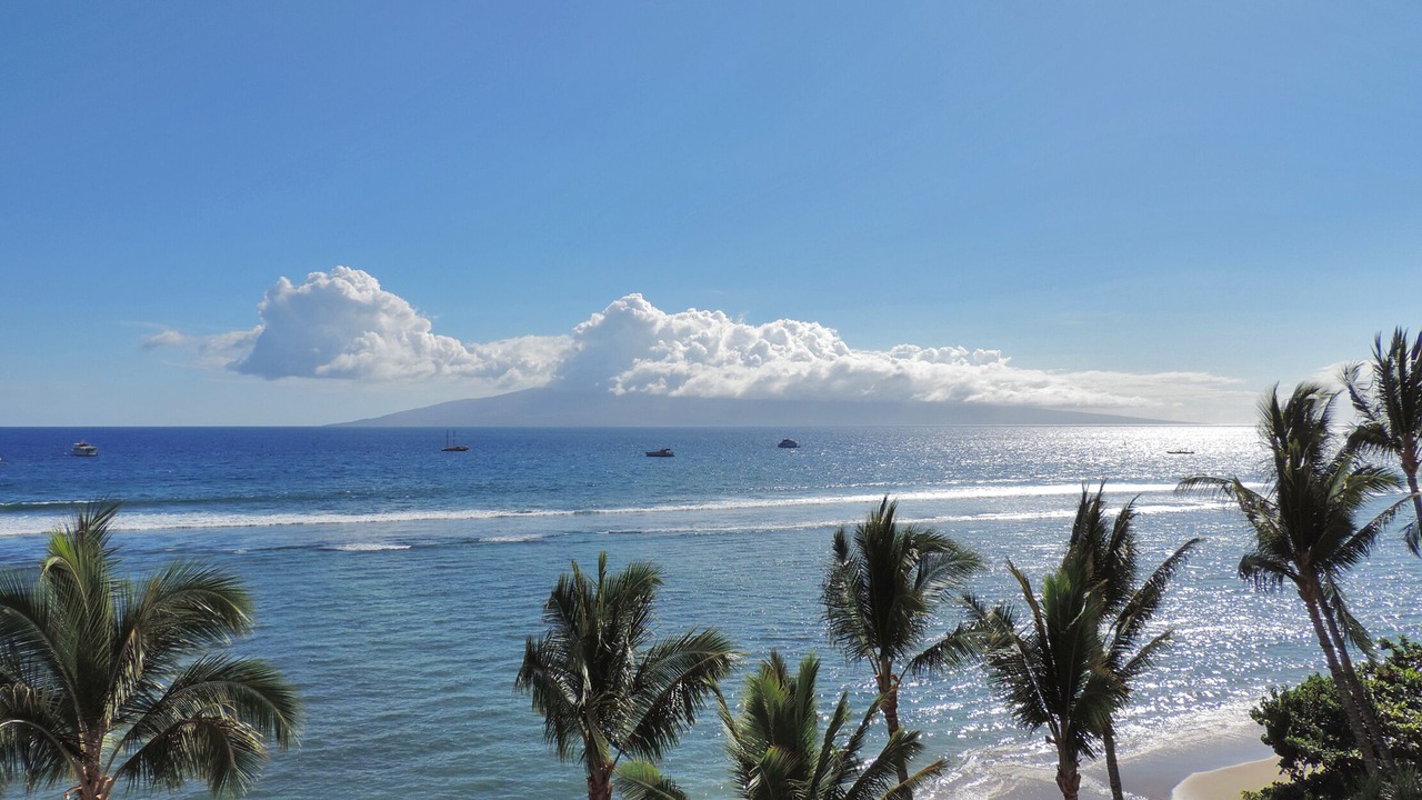 Photo of Others in Historic Lahaina Front Street