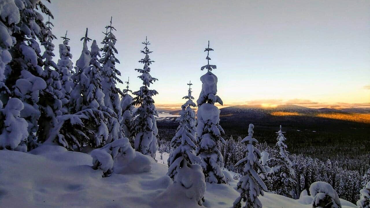 Photo of Others in Crescent