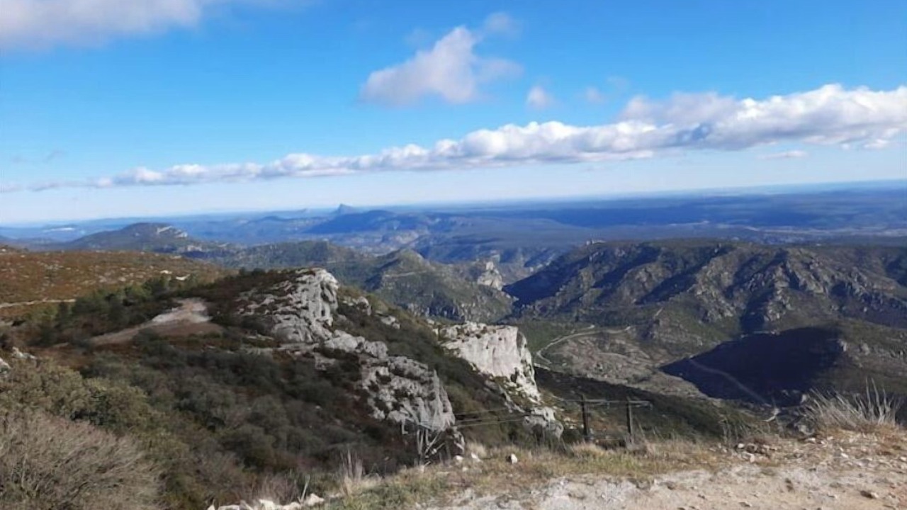 Photo of Others in Neffies