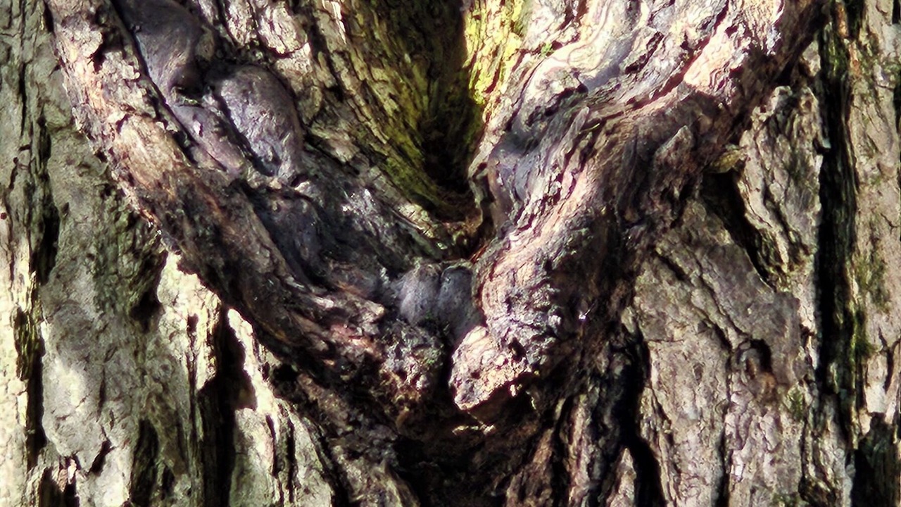 Photo of Outdoor in Hadley