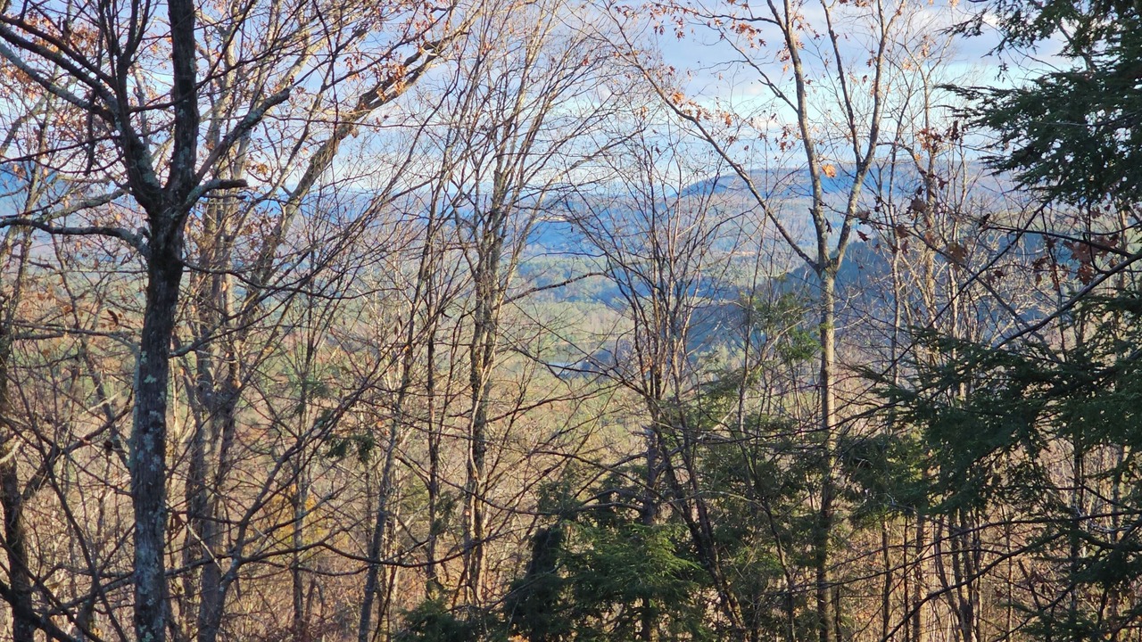 Photo of Others in Hadley