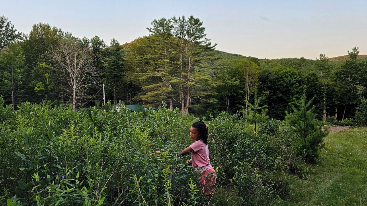 Photo of Others in Hadley