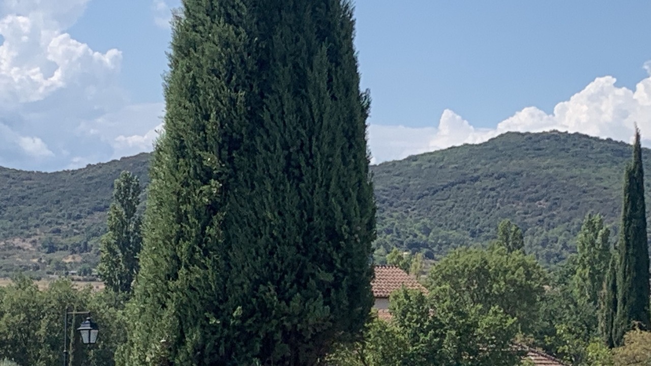 Photo of Others in Saint-Sauveur-de-Cruzieres