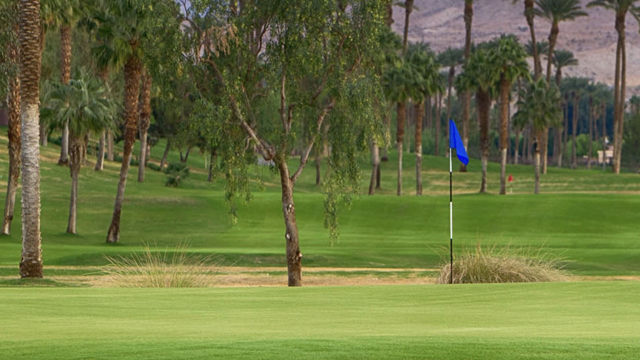 Photo of Others in Desert Palms