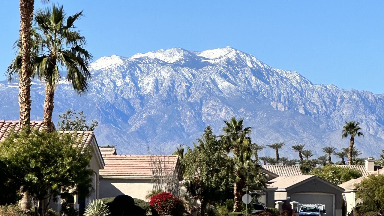 Photo of Others in Desert Palms