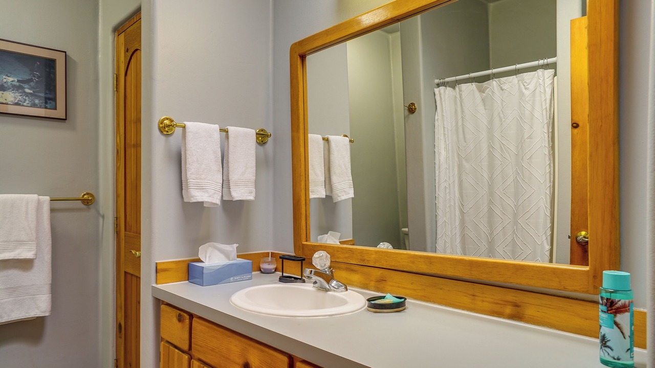 Photo of Bathroom in Mesilla Park