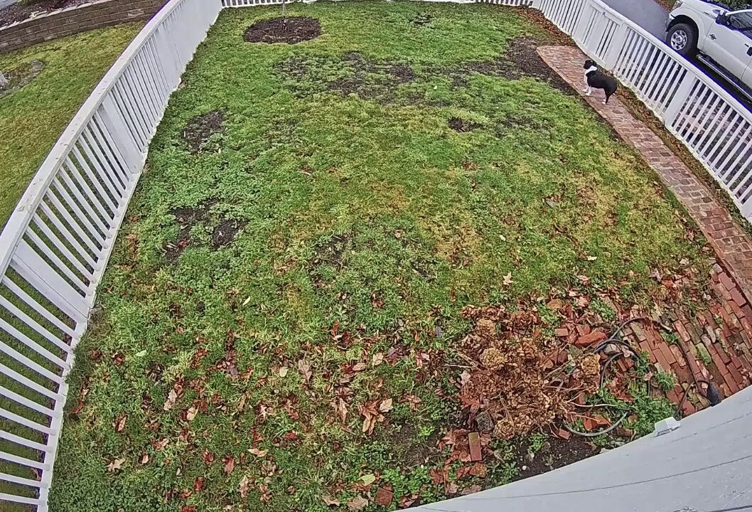 Photo of Outdoor in Bellingham