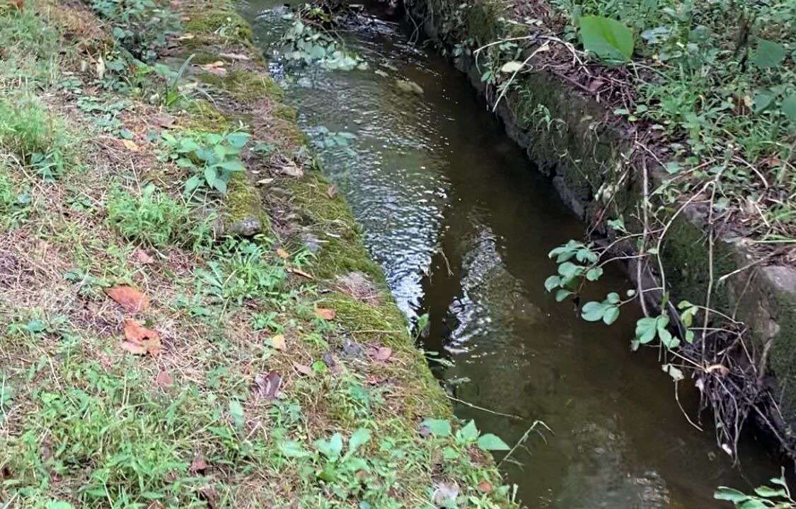 Photo of Outdoor in Forest Grove