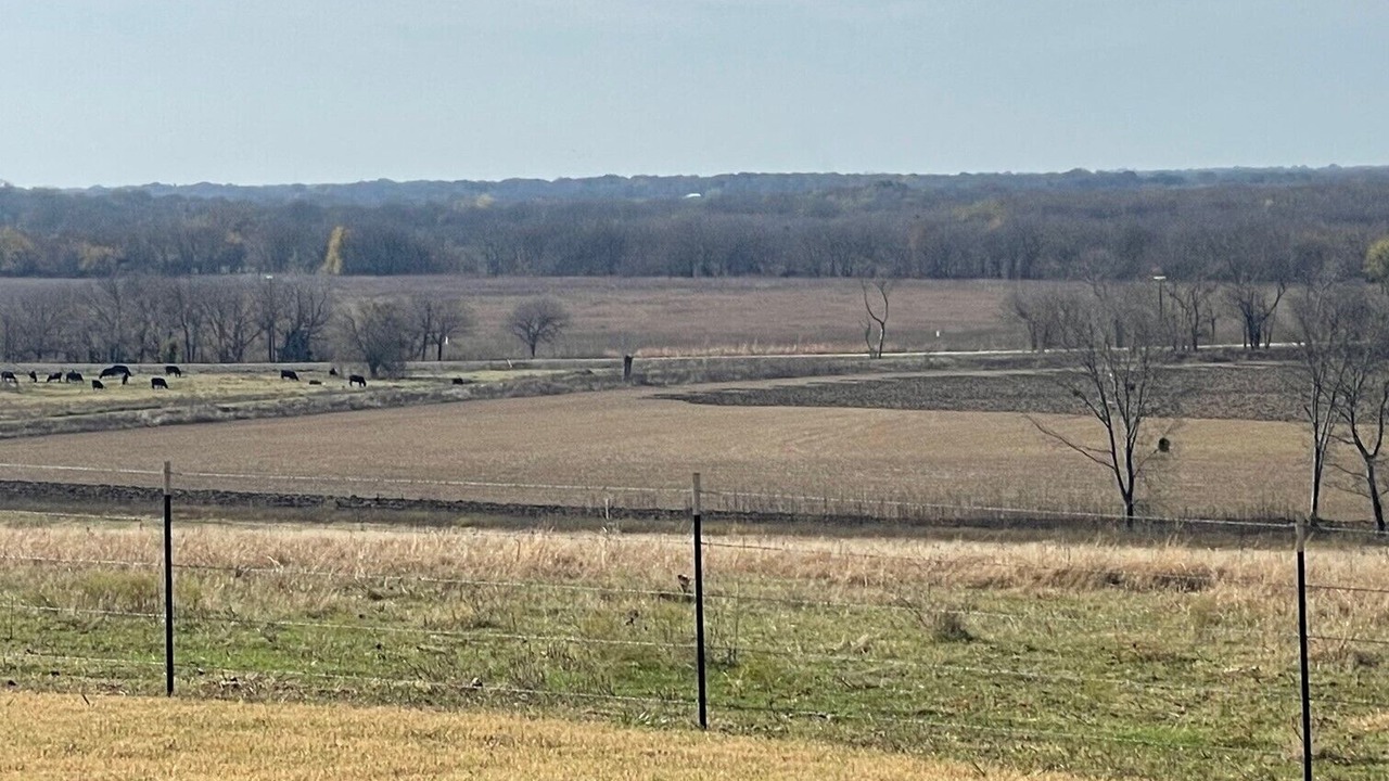 Photo of Outdoor in Gober
