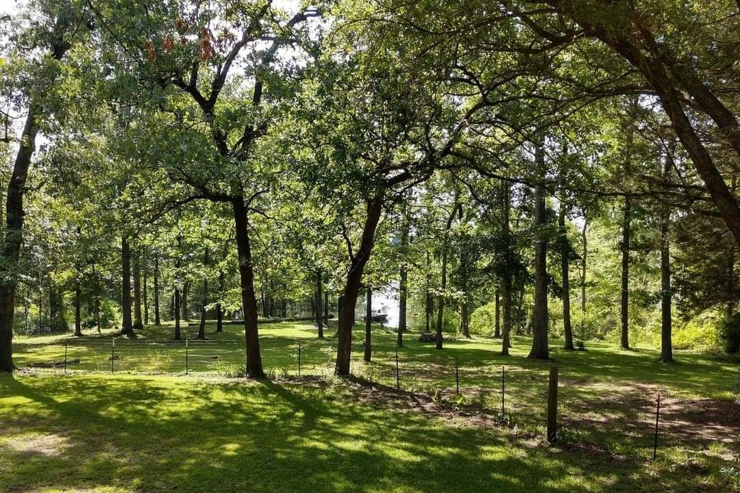 Photo of Outdoor in Bronson