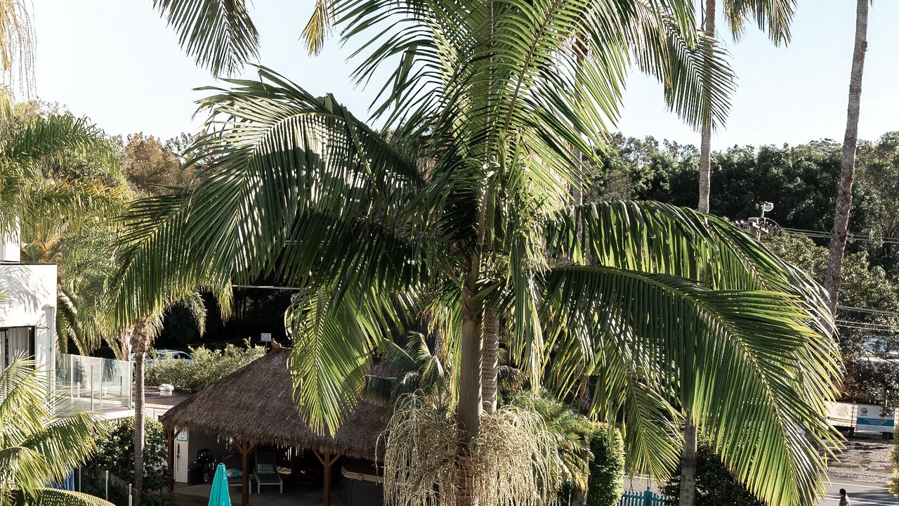 Photo of Outdoor in Terrigal