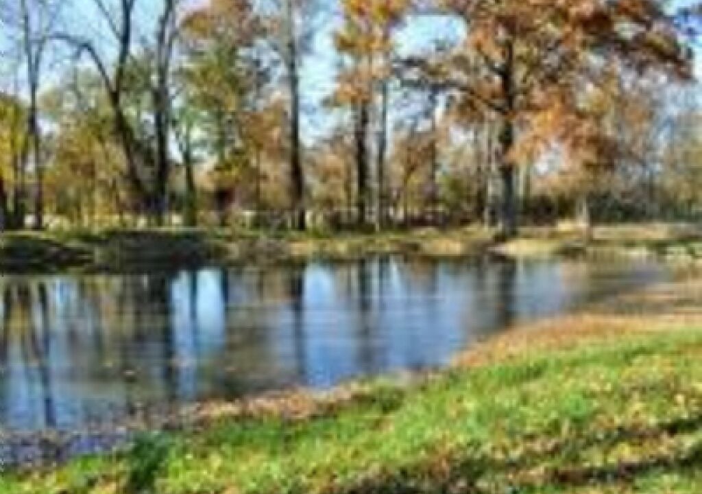 Photo of Outdoor in Lyons