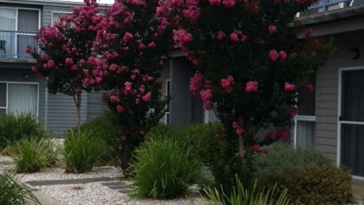 Photo of Outdoor in Williamstown