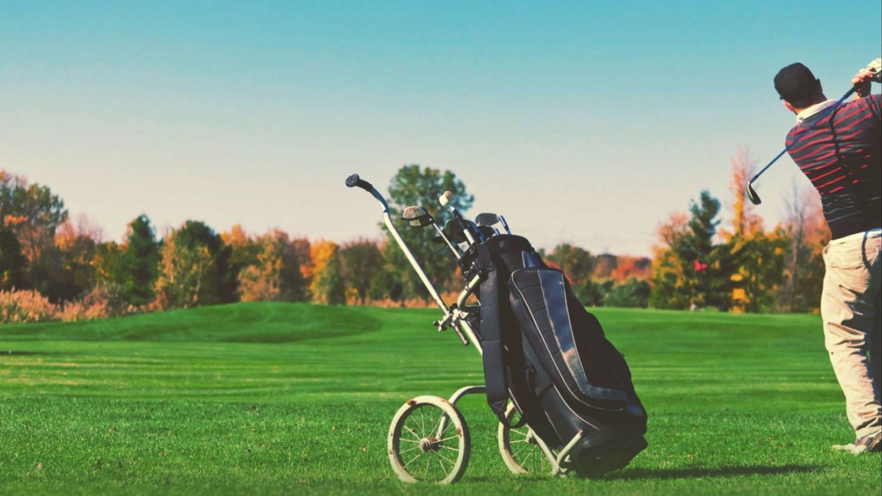 Photo of Others in Manly