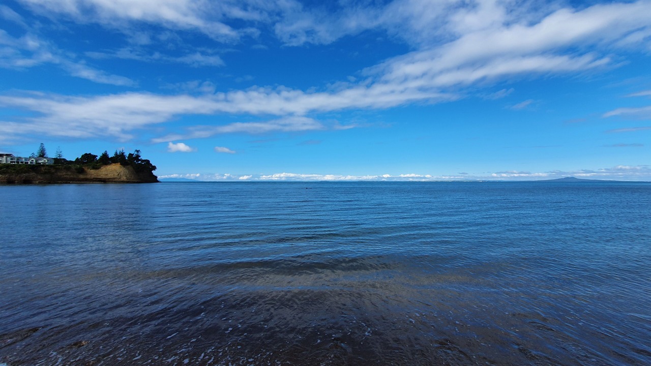 Photo of Others in Manly