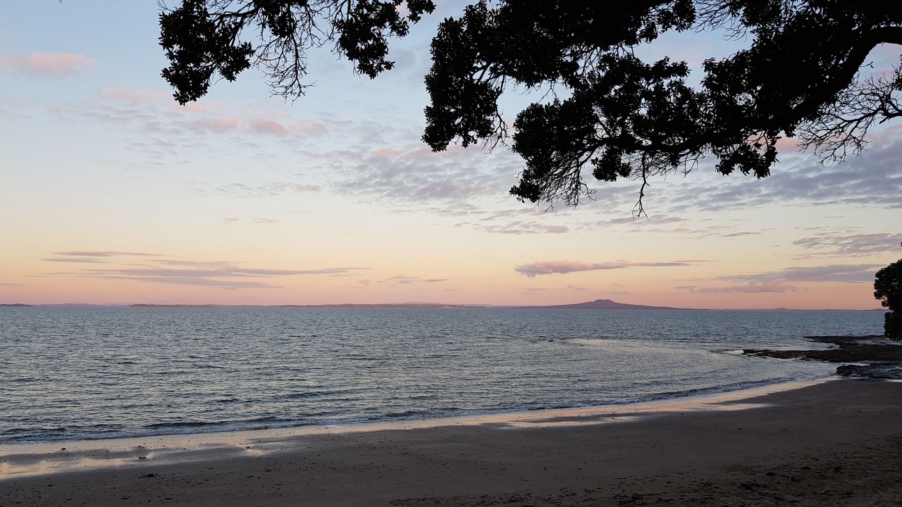 Photo of Others in Manly