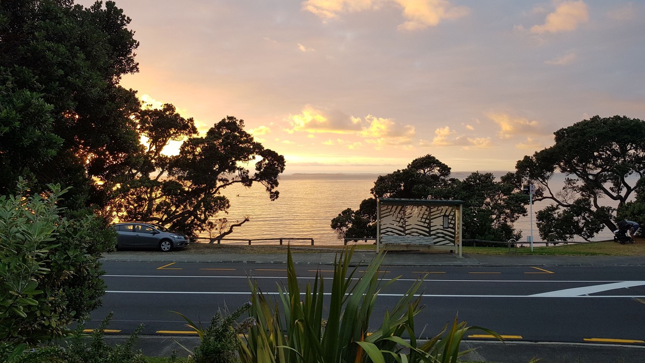 Photo of Others in Manly