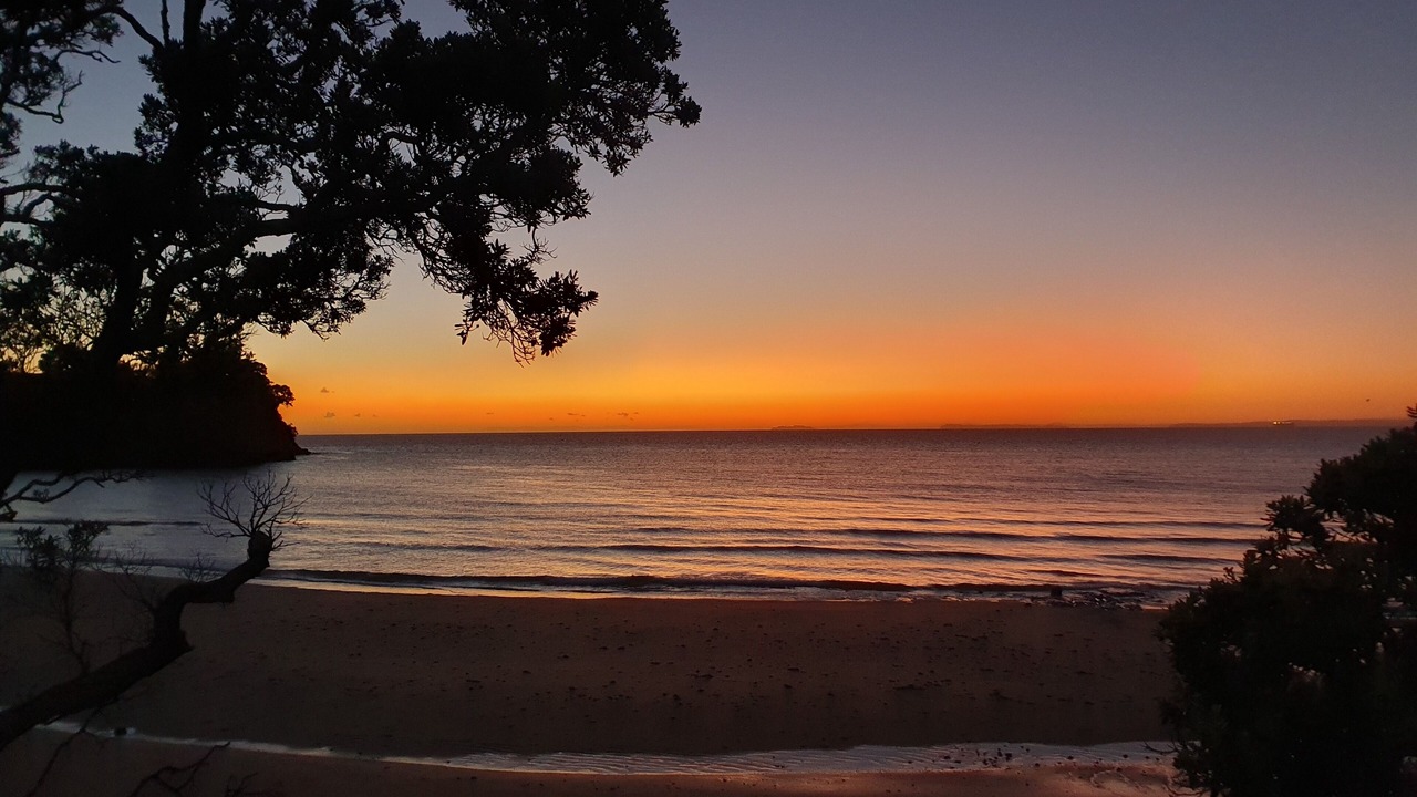 Photo of Others in Manly