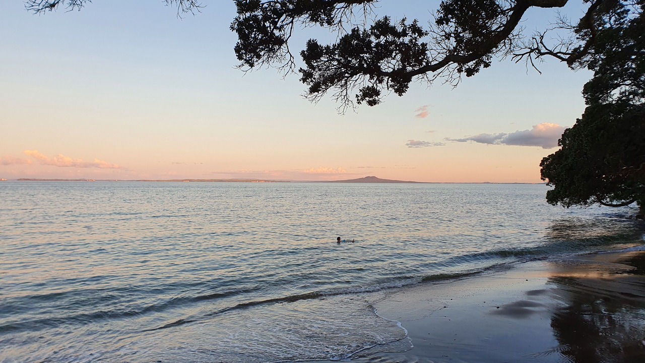 Photo of Others in Manly