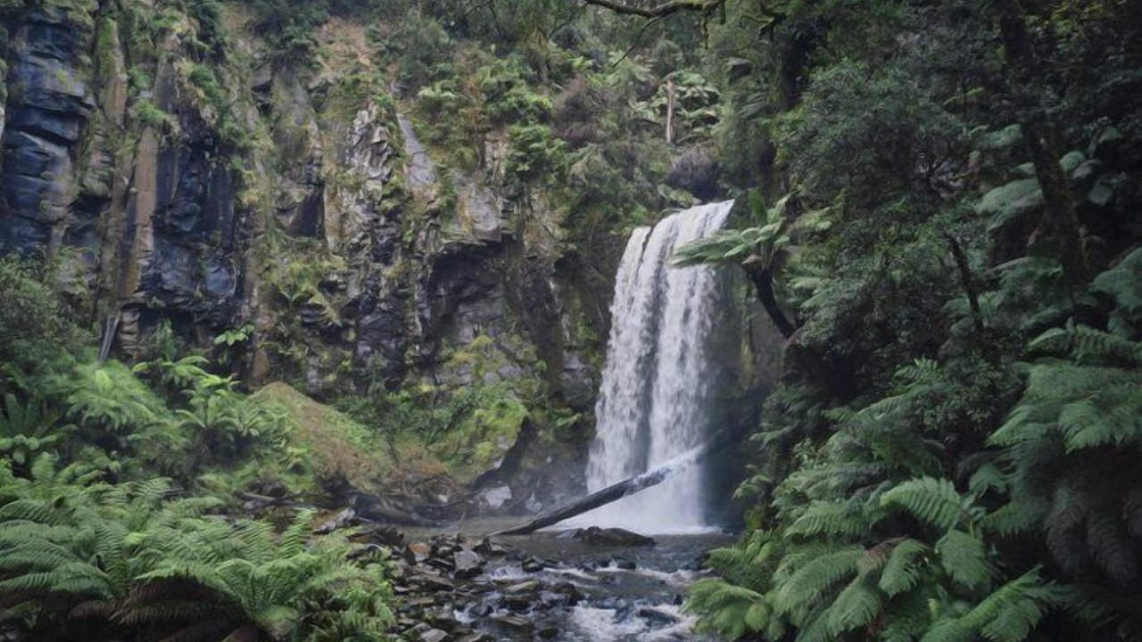 Photo of Others in Apollo Bay