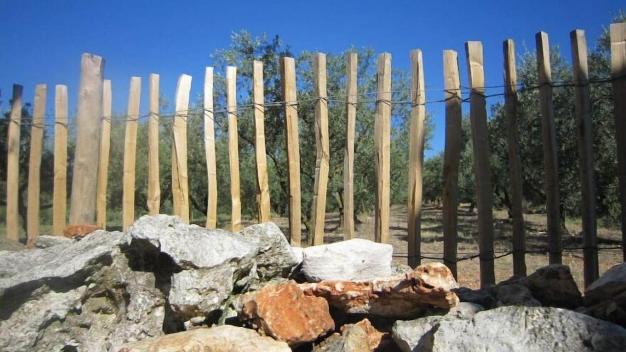 Photo of Outdoor in Asperes
