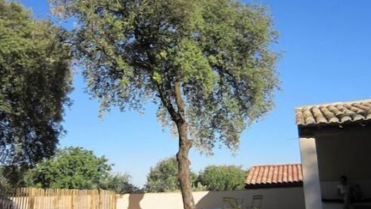 Photo of Outdoor in Asperes