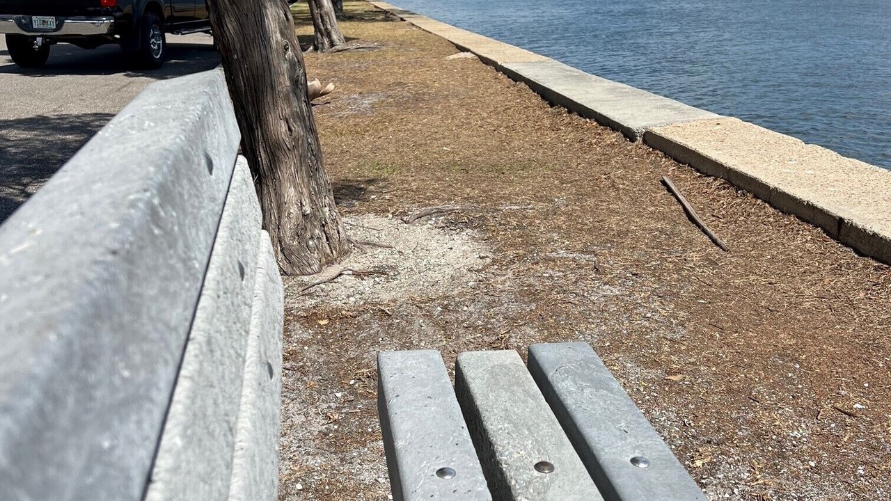 Photo of Others in Davis Islands