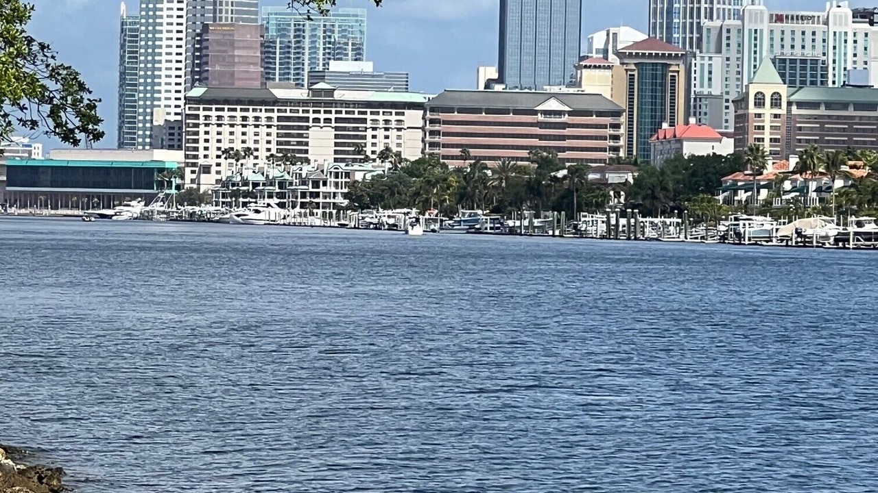 Photo of Others in Davis Islands