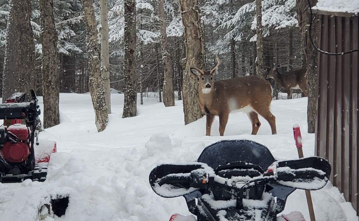 Photo of Others in Town of Webb