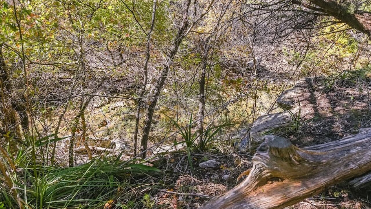 Photo of Others in Austin