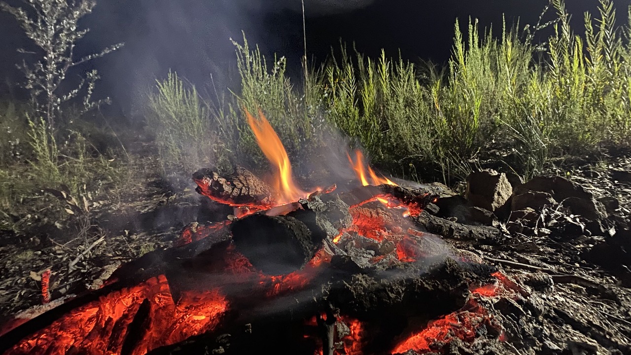 Photo of Outdoor in Tambaroora