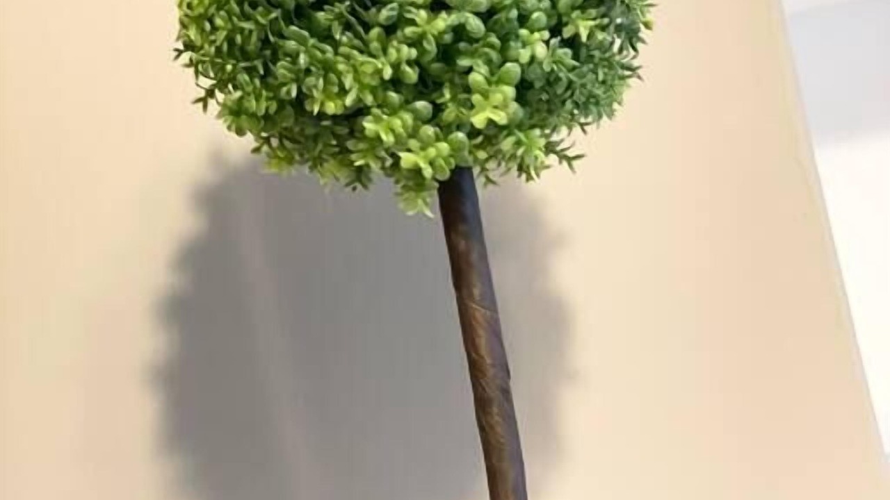 Photo of Others in Scotia