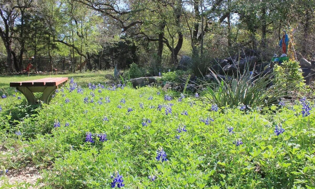 Photo of Outdoor in Manchaca