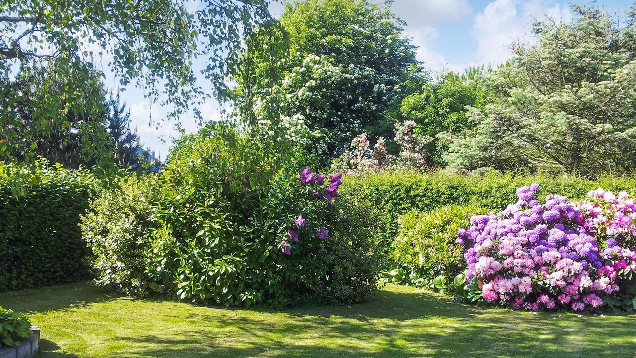 Photo of Others in Samsø