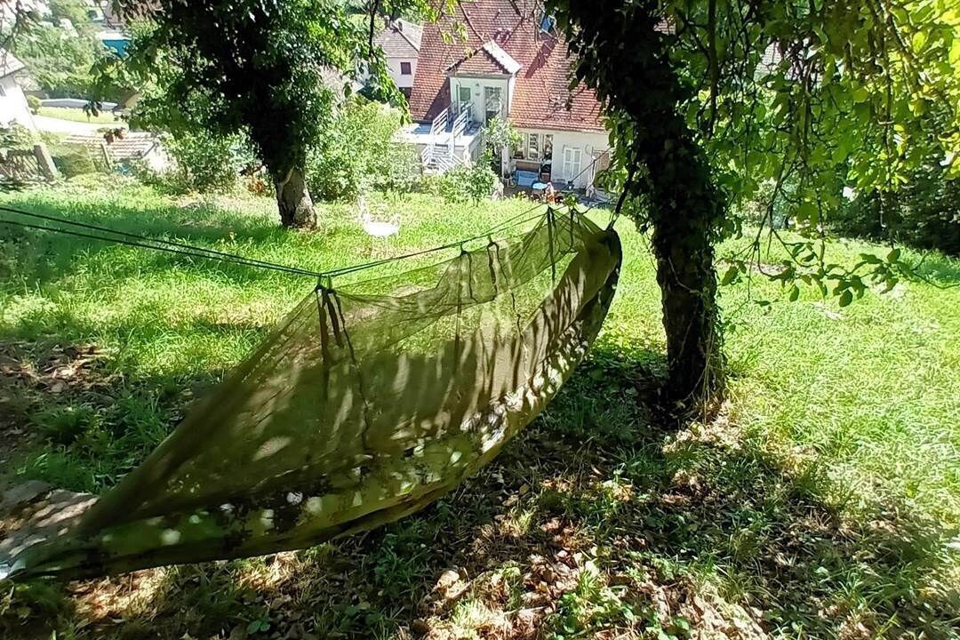 Photo of Others in Liepvre