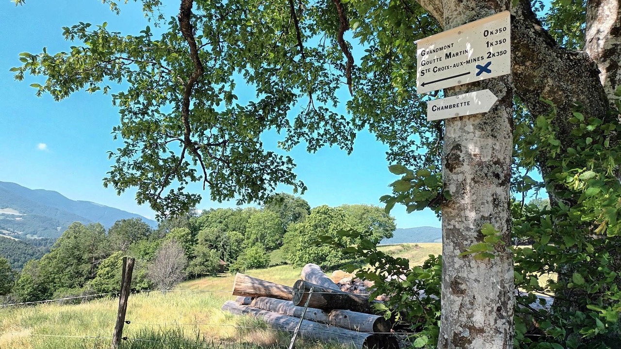 Photo of Others in Liepvre