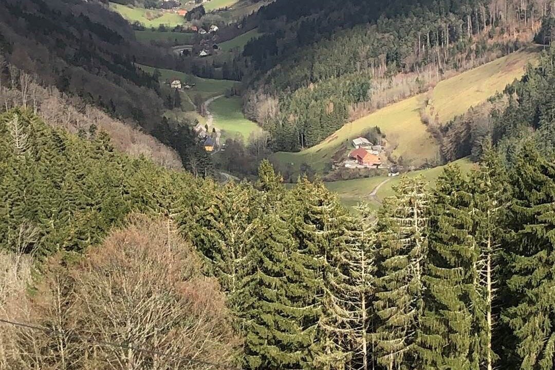 Photo of Others in Liepvre