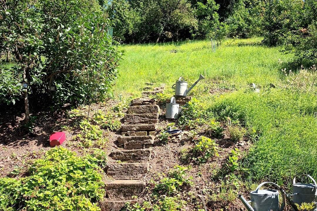 Photo of Others in Liepvre