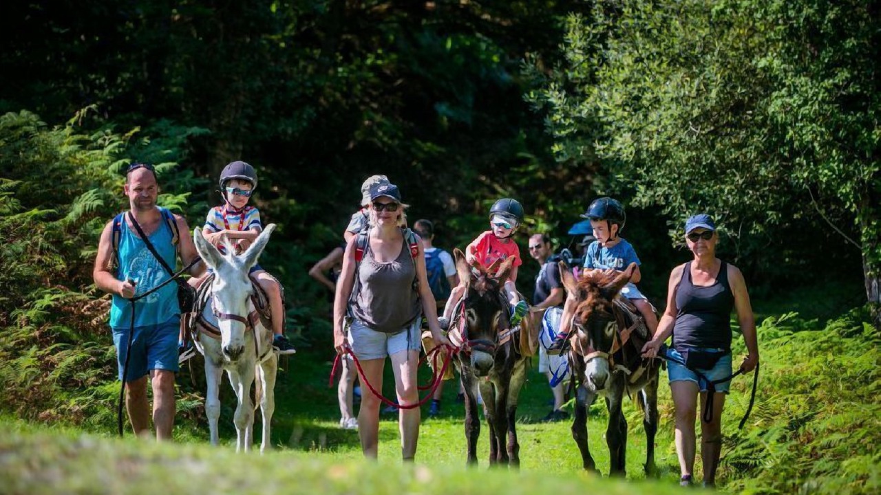 Photo of Others in Espelette