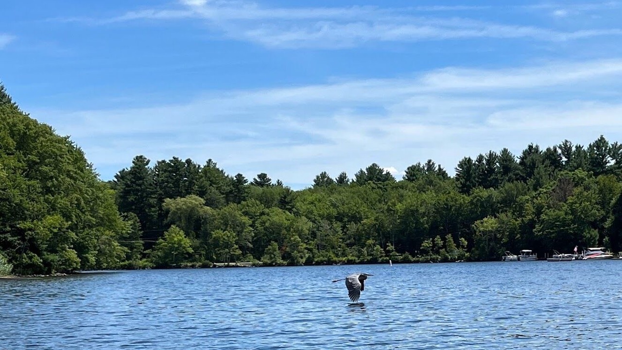 Photo of Outdoor in Sutton