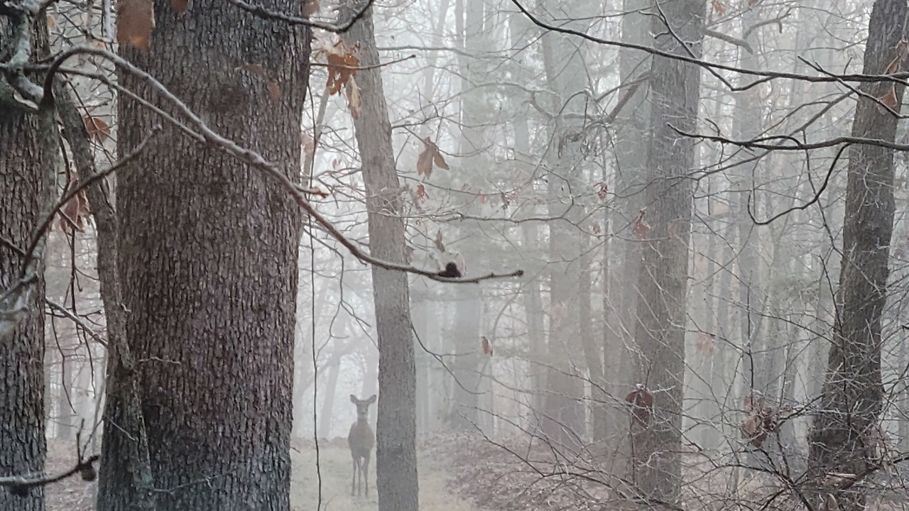 Photo of Outdoor in Blackwell