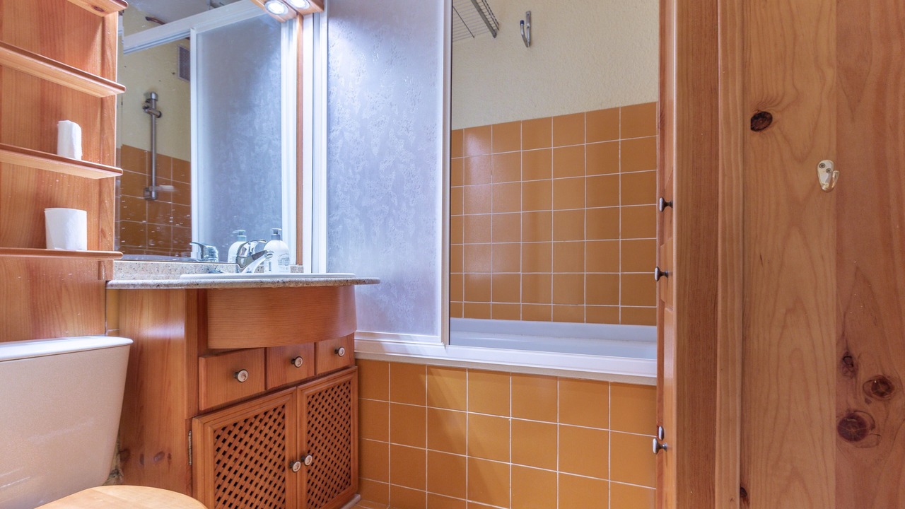 Photo of Bathroom in Pla d'Adet