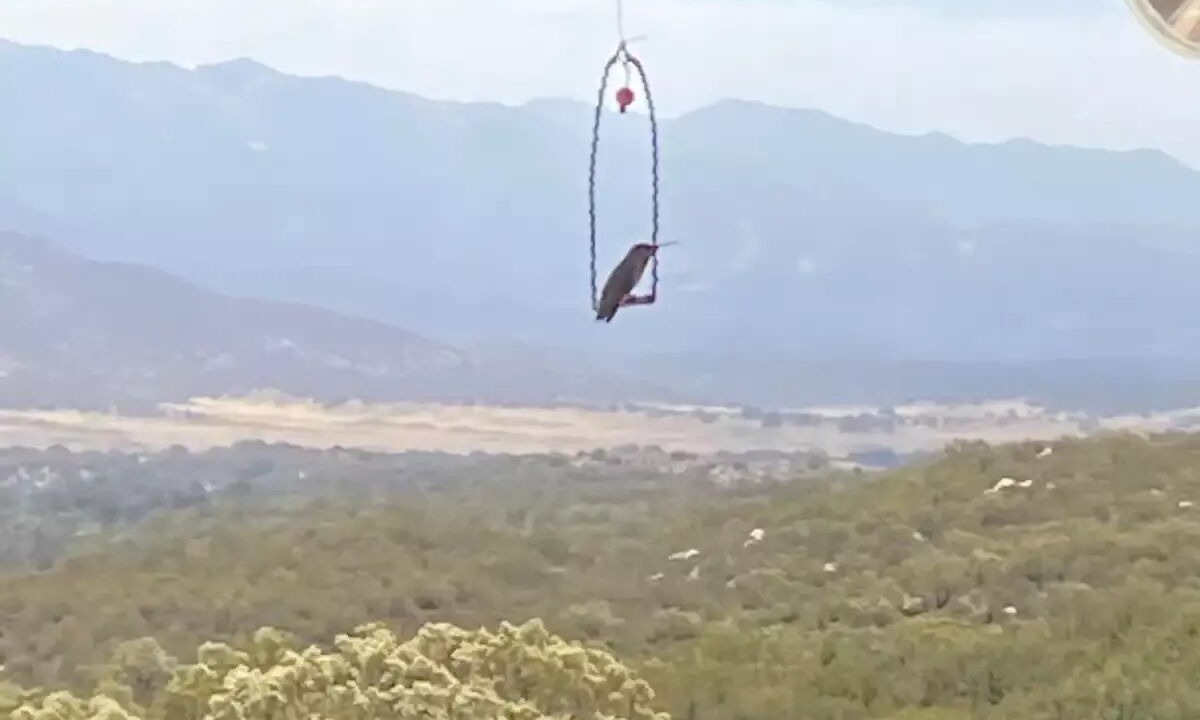 Photo of Others in Warner Springs