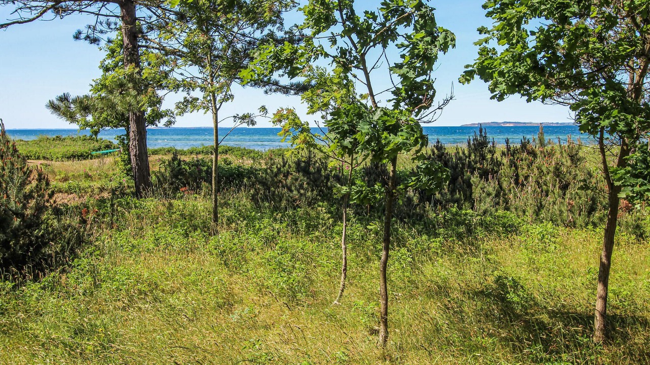 Photo of Others in Samsø