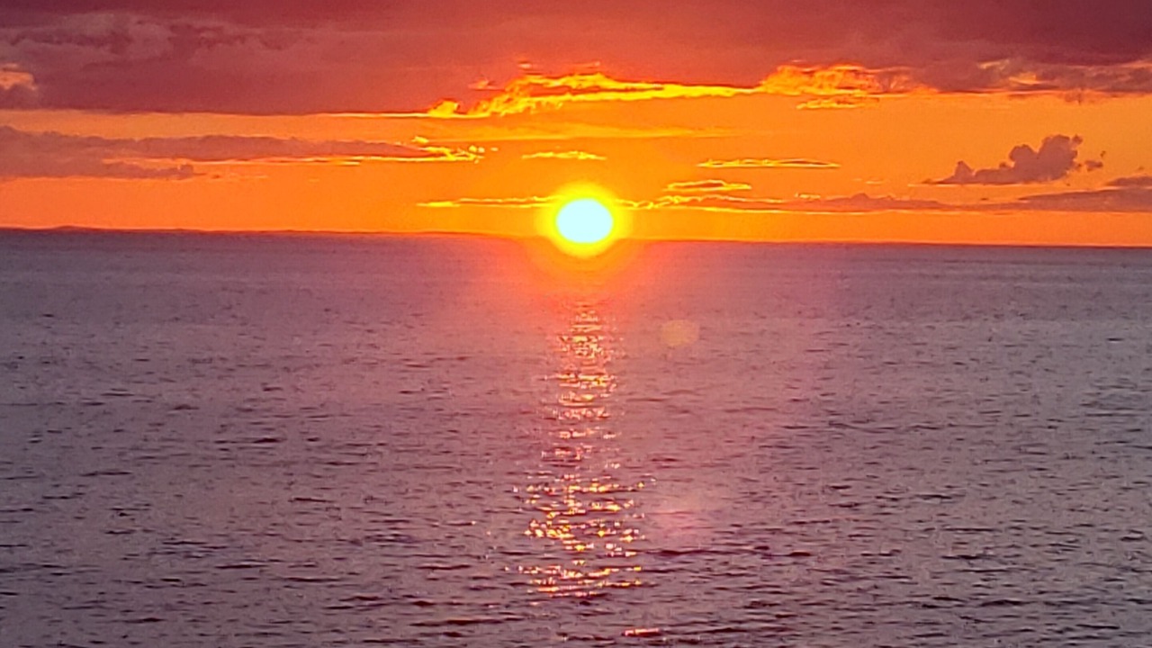 Photo of Others in Bonavista