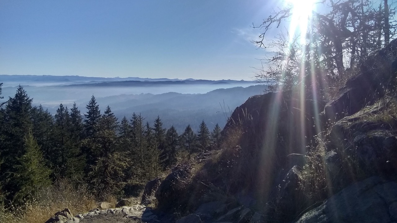 Photo of Others in Springfield