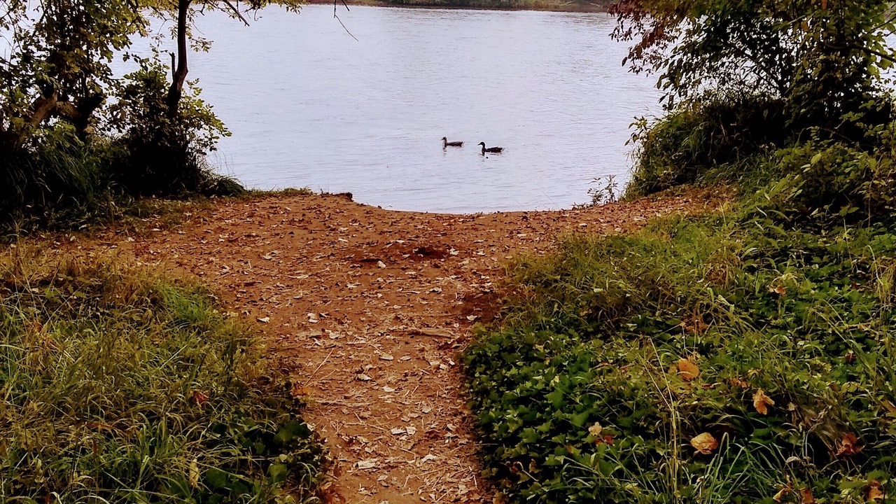 Photo of Others in Springfield